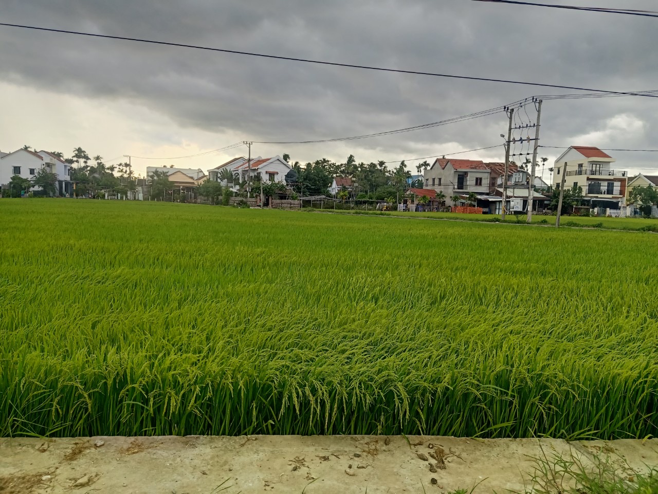 Bán đất Thanh Tây - Cẩm châu